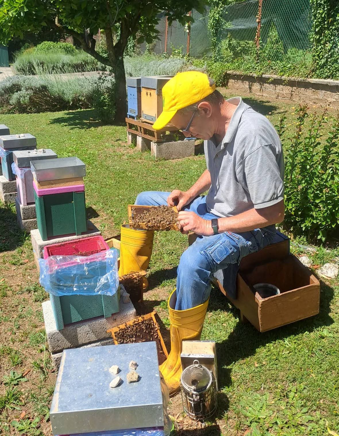 Apicoltura Cicero — foto azienda